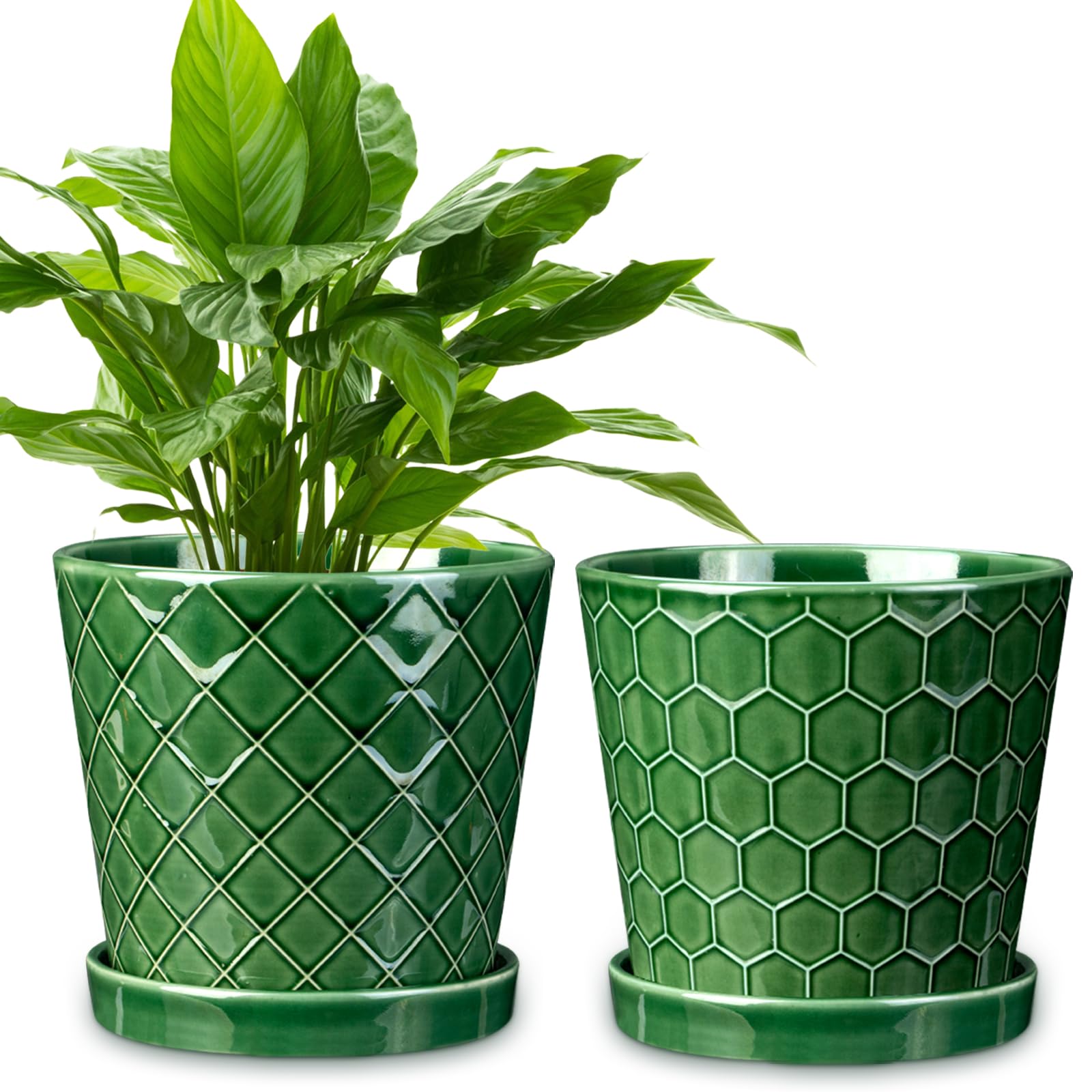 EFISPSS 6-inch pot with conical stripes adds modern elegance to any room.