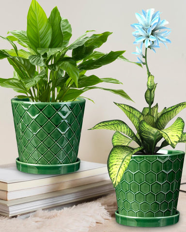 EFISPSS indoor-outdoor ceramic pot suits kitchens and patios with durable design.