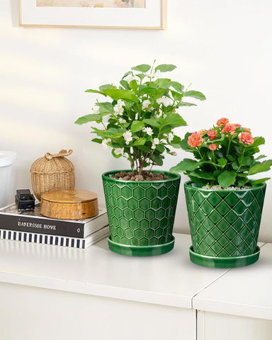EFISPSS pot with saucer included keeps surfaces clean after watering.