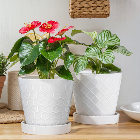 EFISPSS ceramic plant pots 6-inch front view with modern minimalist stripes for elegant decor.