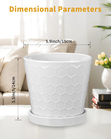 EFISPSS 6-inch side view highlighting square stripe detail and clean white finish.