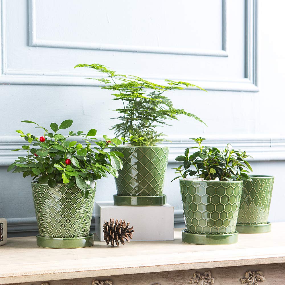 EFISPSS four-strip ceramic planters provide versatile styling options.
