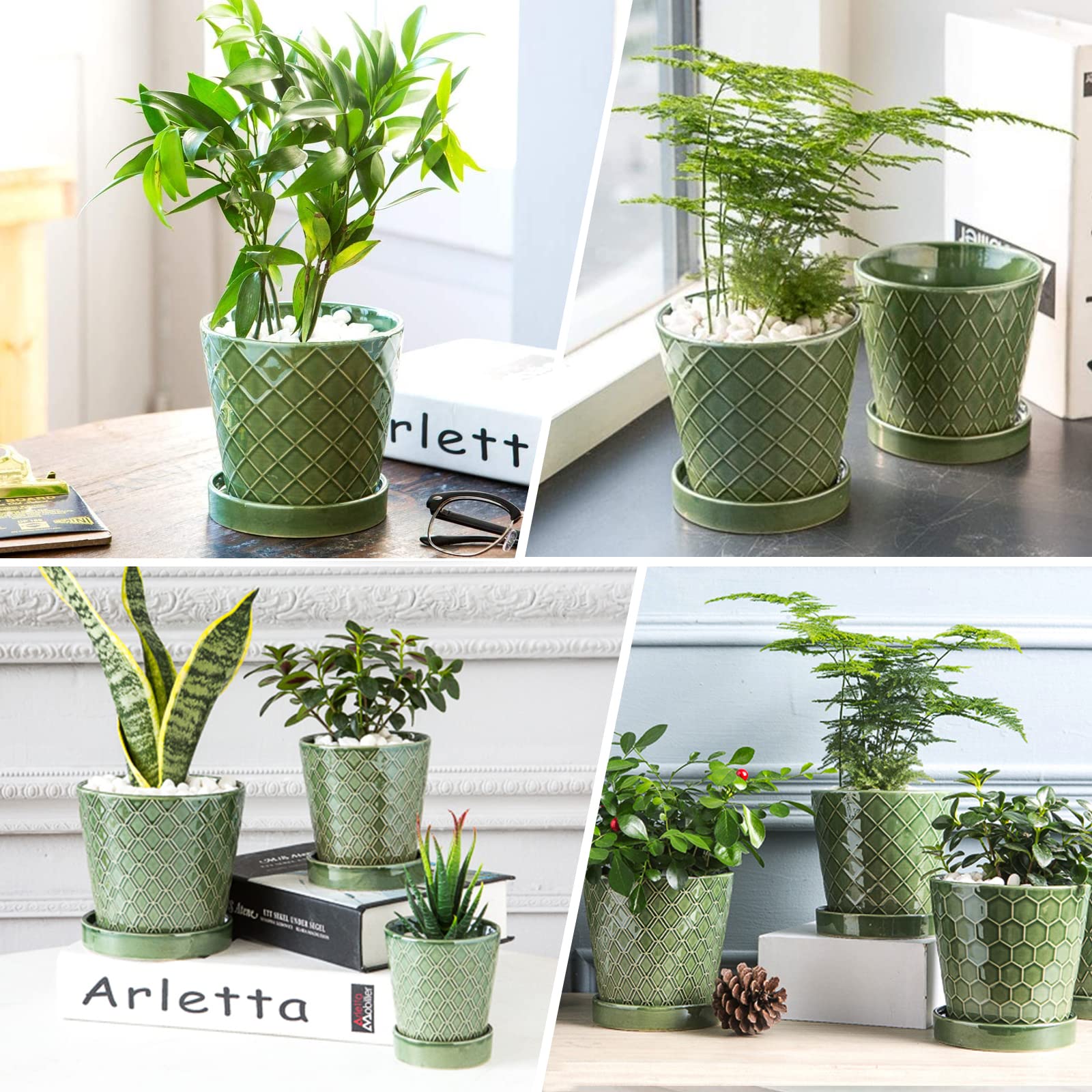 EFISPSS 5-inch pot with tray supports neat indoor display.