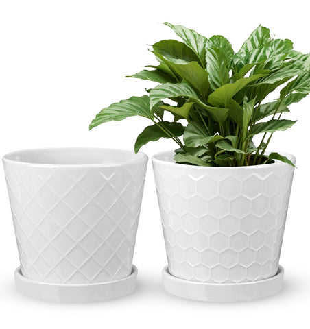 EFISPSS indoor-outdoor-ready design suitable for patios and desks.