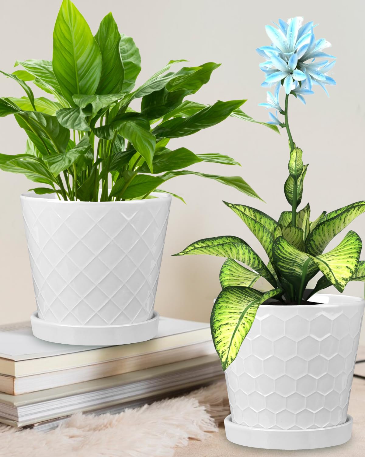 EFISPSS modernist stripe 6-inch pot close-up emphasizes durable ceramic.