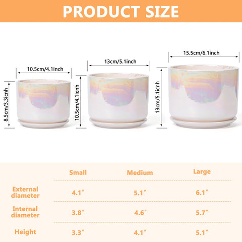 EFISPSS 6-inch rainbow glaze pot suited for larger plants or herbs.