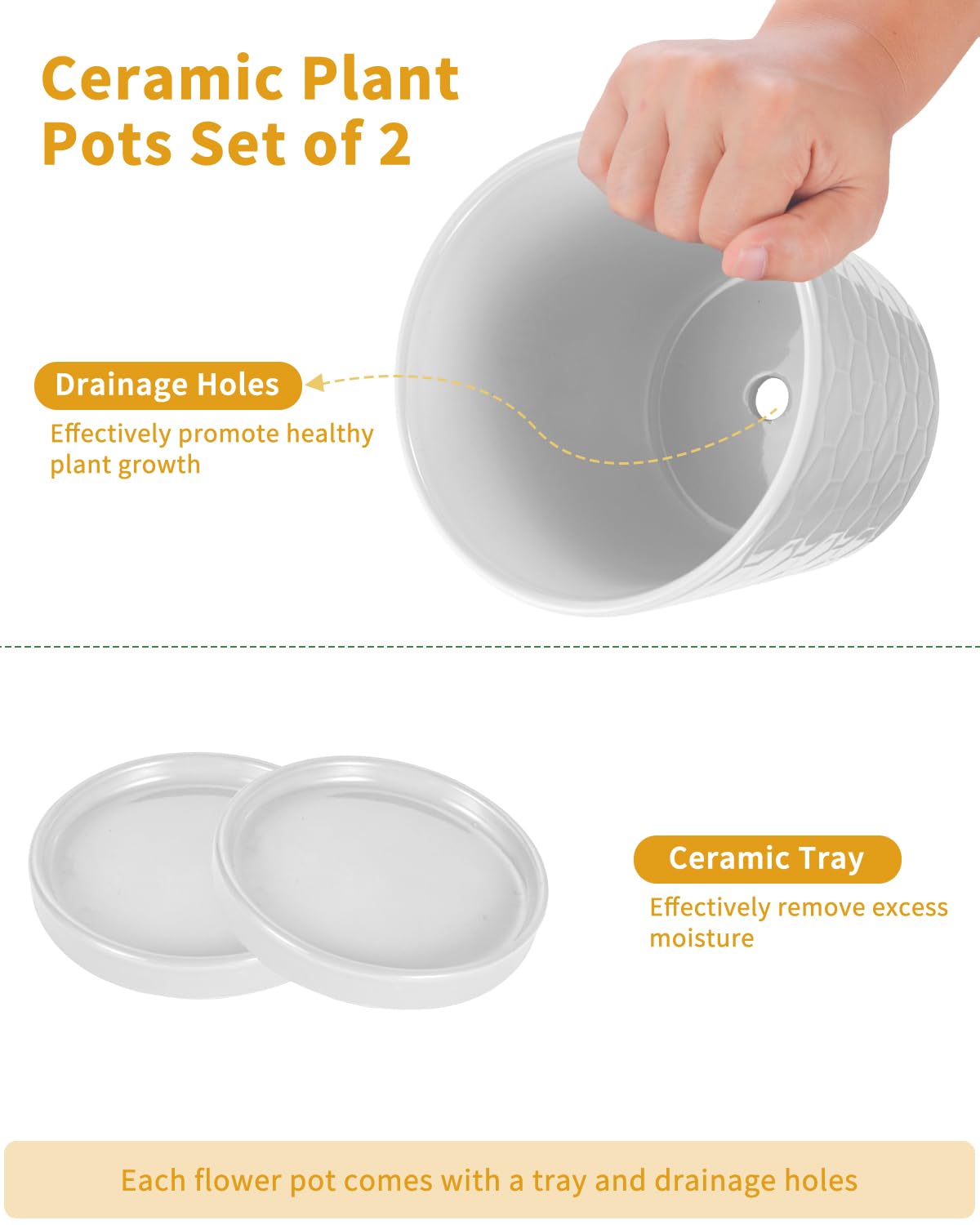 EFISPSS pots with drainage hole and saucer for healthy plant care and tidy surfaces.