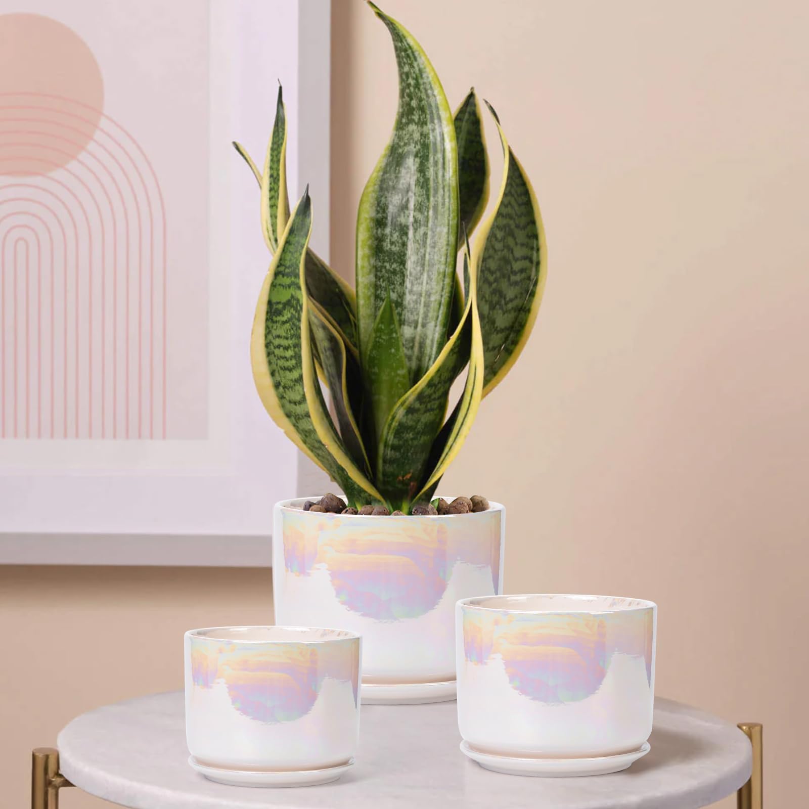 EFISPSS indoor-outdoor setup demonstrates versatile ceramic planters.