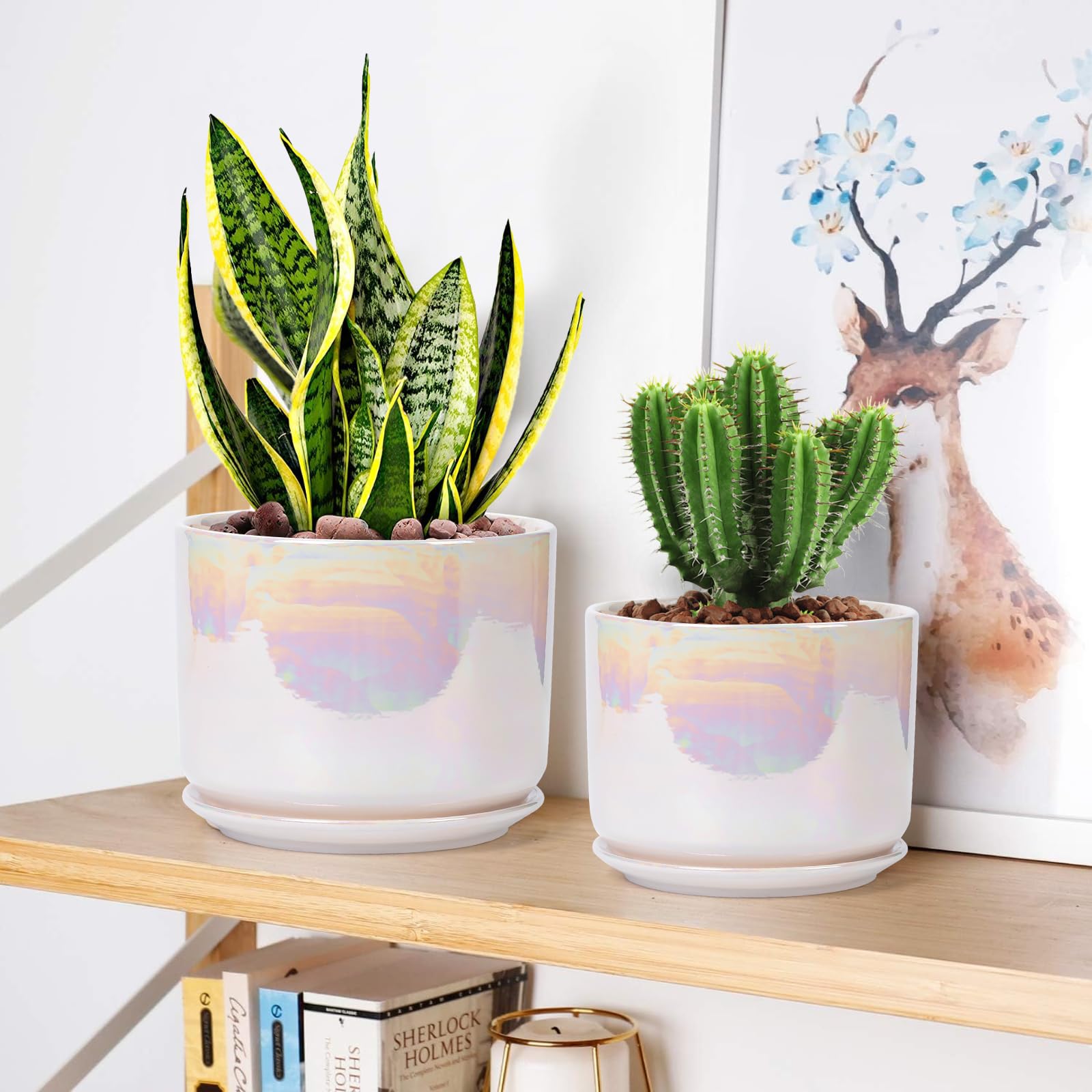 EFISPSS table-top display enhances indoor greenery with a modern glaze.