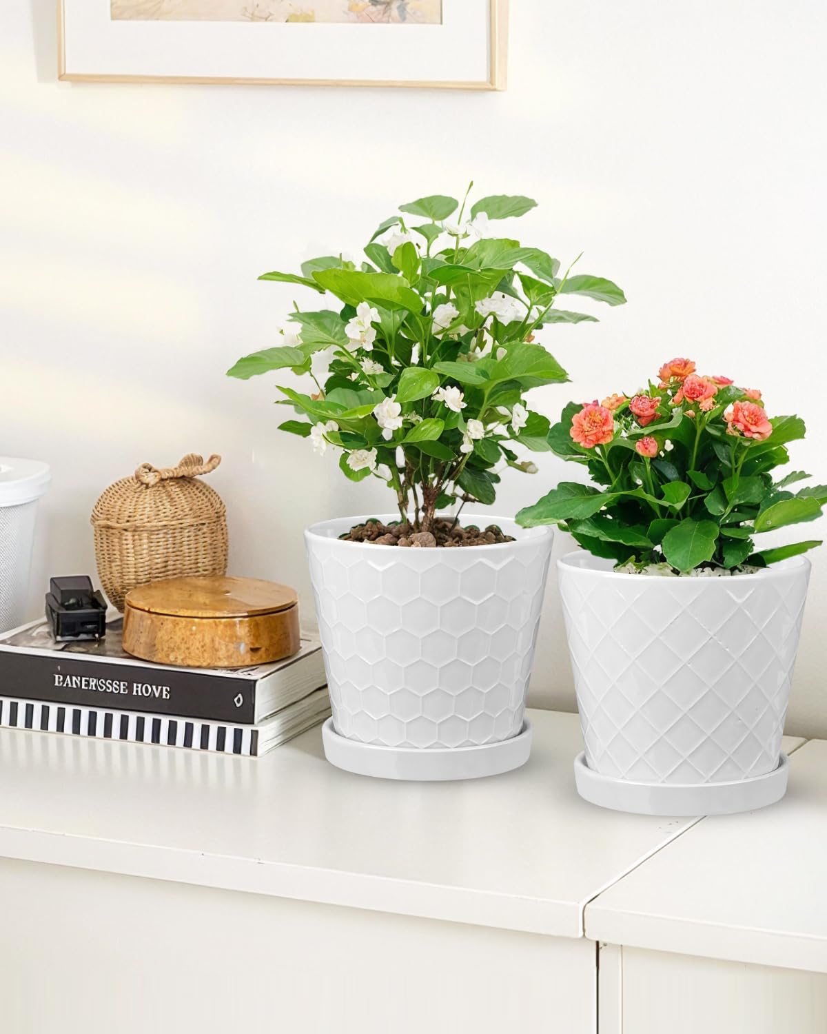 EFISPSS white ceramic pot shown with succulents for versatile indoor use.