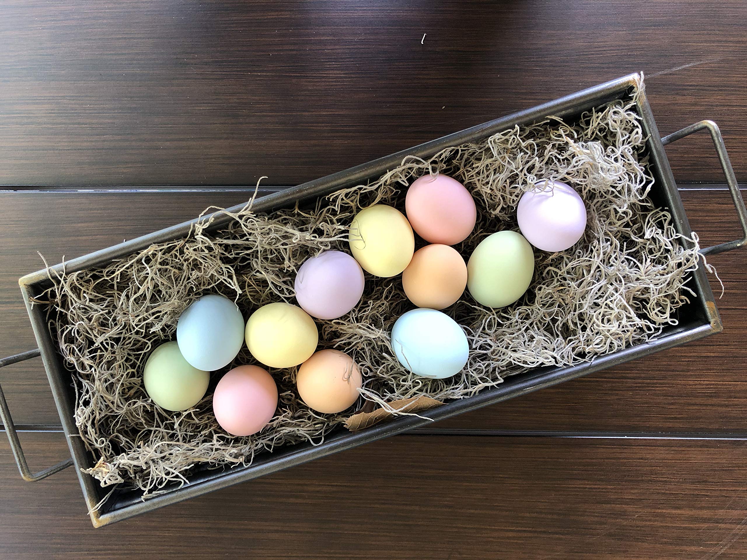 Eggcetera pastel ceramic nest egg supports crafts and Easter gifts