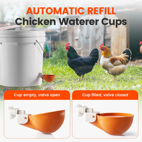 Eggluuz automatic refill system provides fresh water with less maintenance