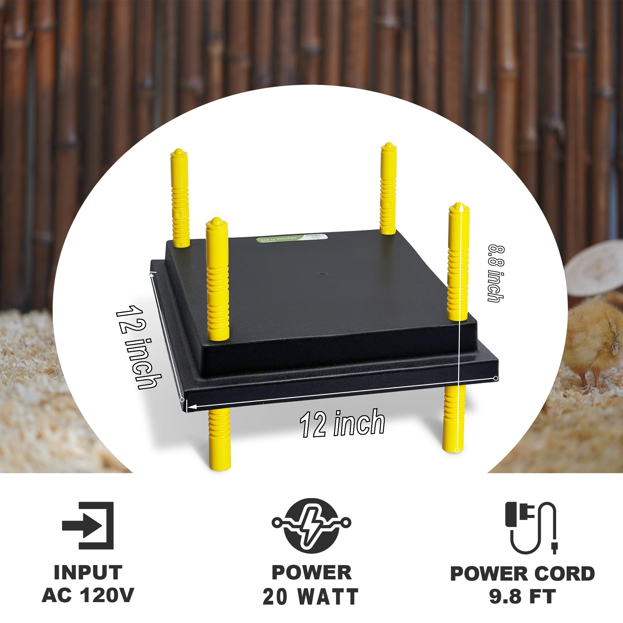 Eggluuz brooder plate adjustable heights helps chicks reach warmth
