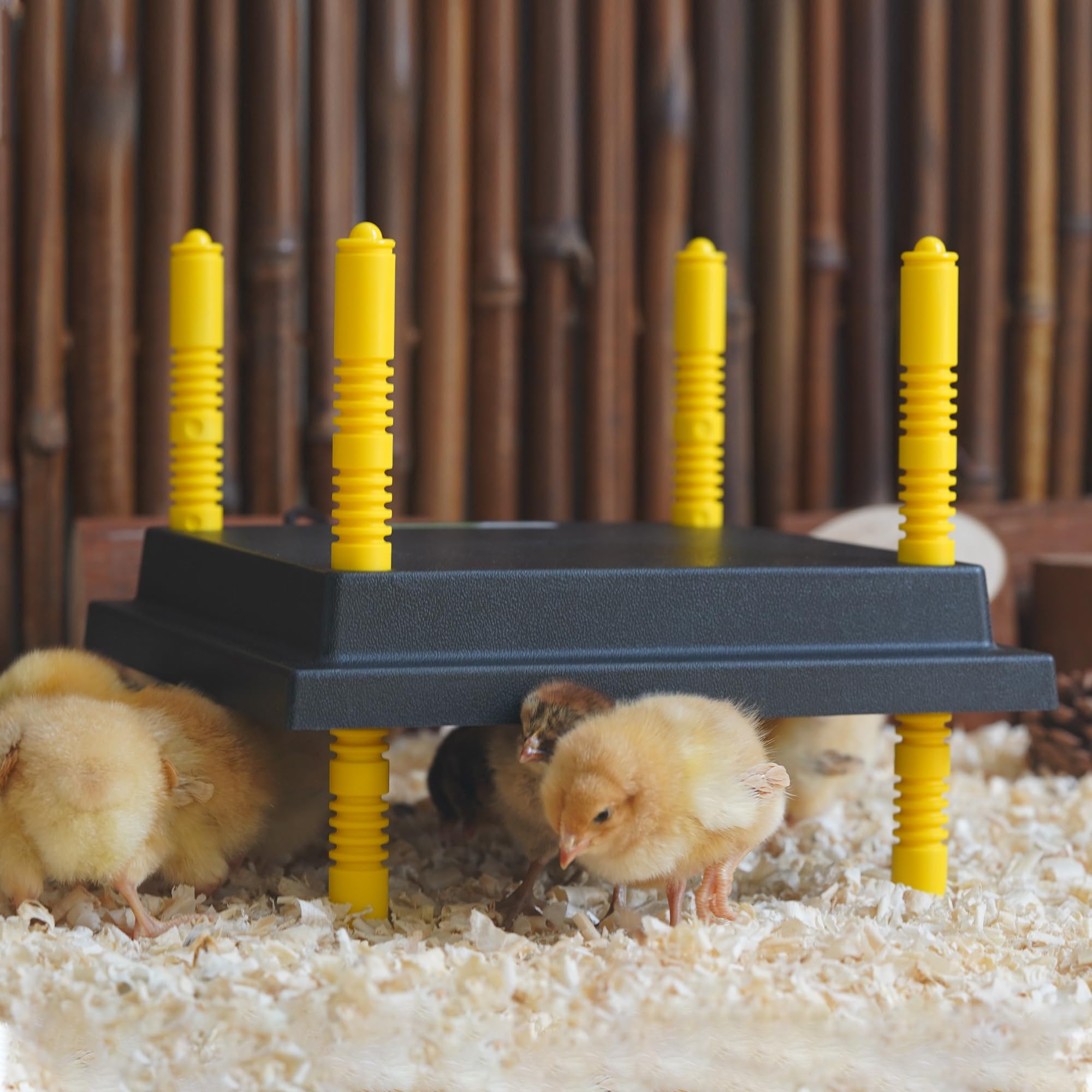 Eggluuz brooder plate safety features protect against voltage fluctuation