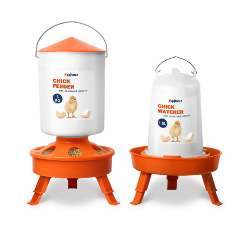 Eggluuz chick feeder top-fill in action for easy refills and clean feeding.