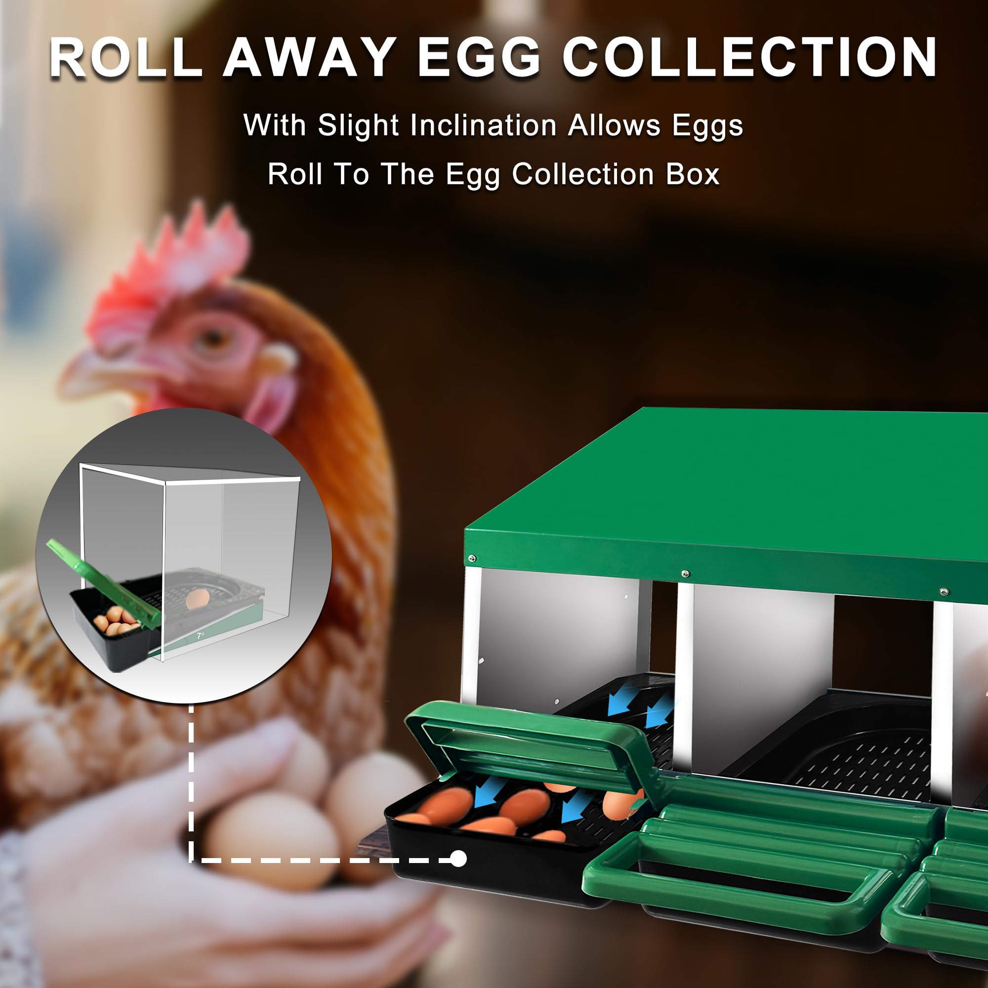 Eggluuz chicken nesting box with inclined egg tray for quick collection.