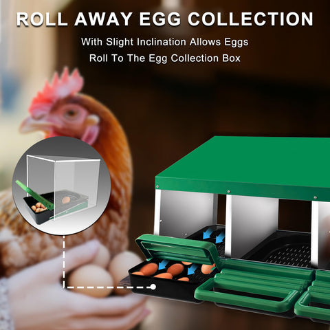 Eggluuz chicken nesting box with inclined egg tray for quick collection.