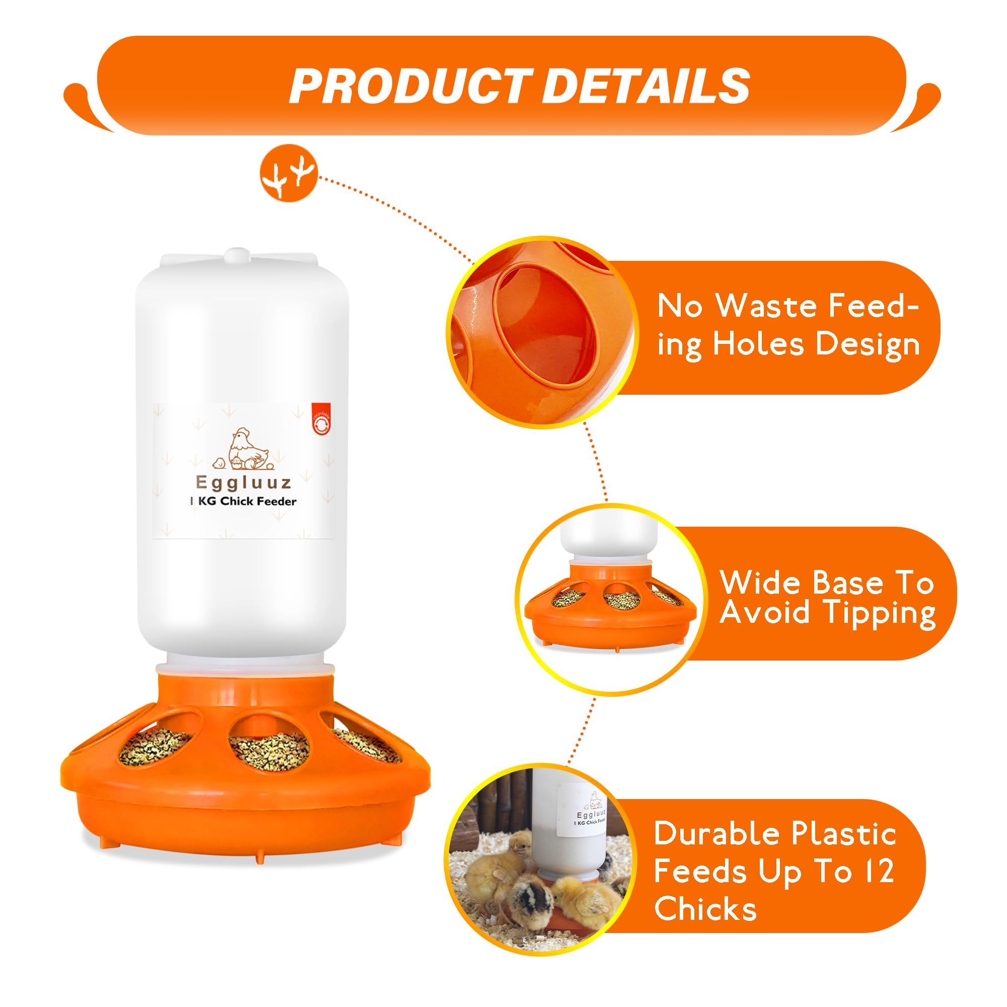 Eggluuz feeder has an easy-fill lid for quick refills.