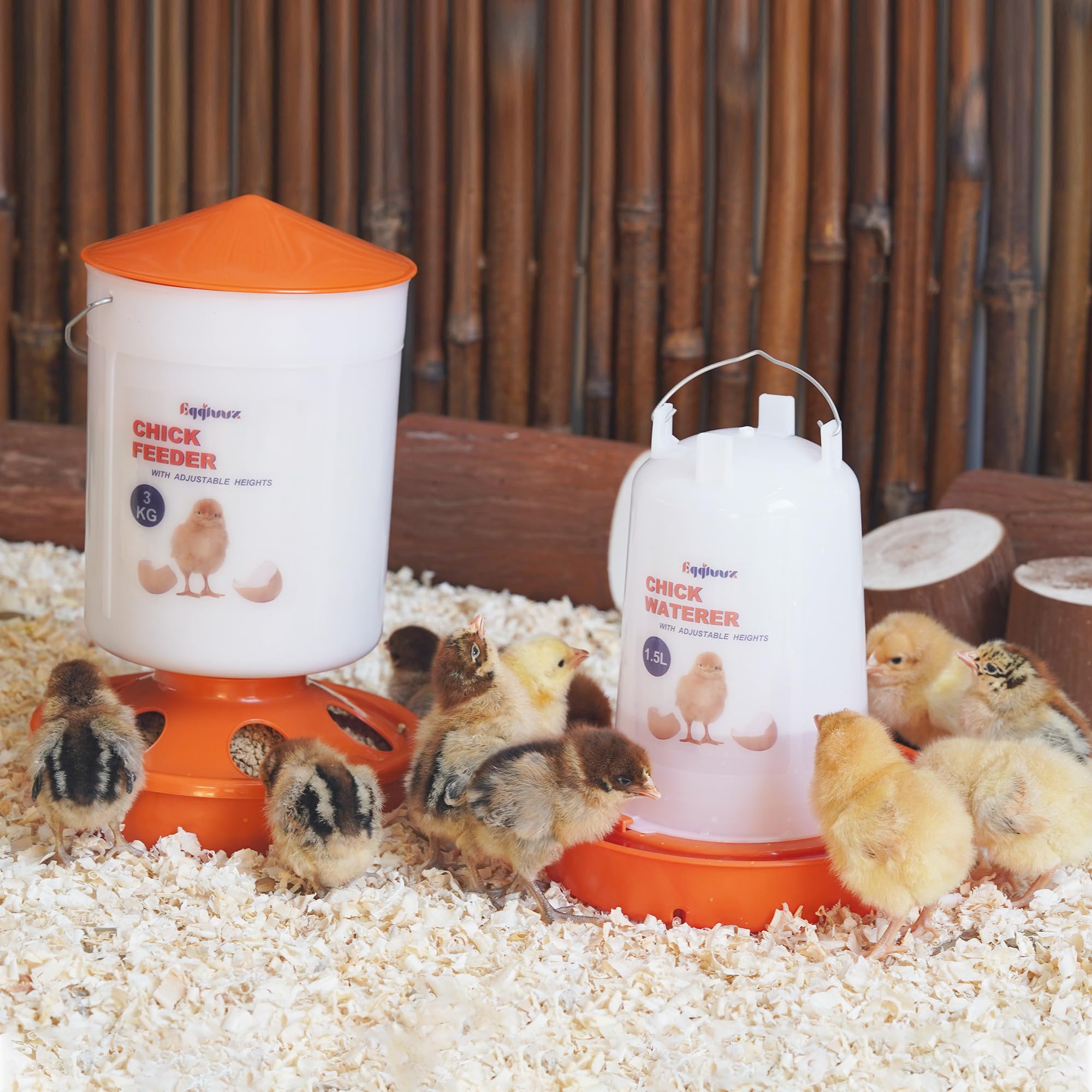 Eggluuz in-use brooder setup showing accessible feed and water for youngsters.