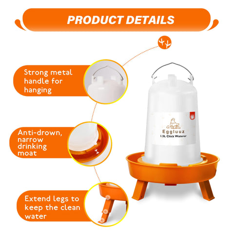 Eggluuz waterer features a stainless steel handle for easy hanging.