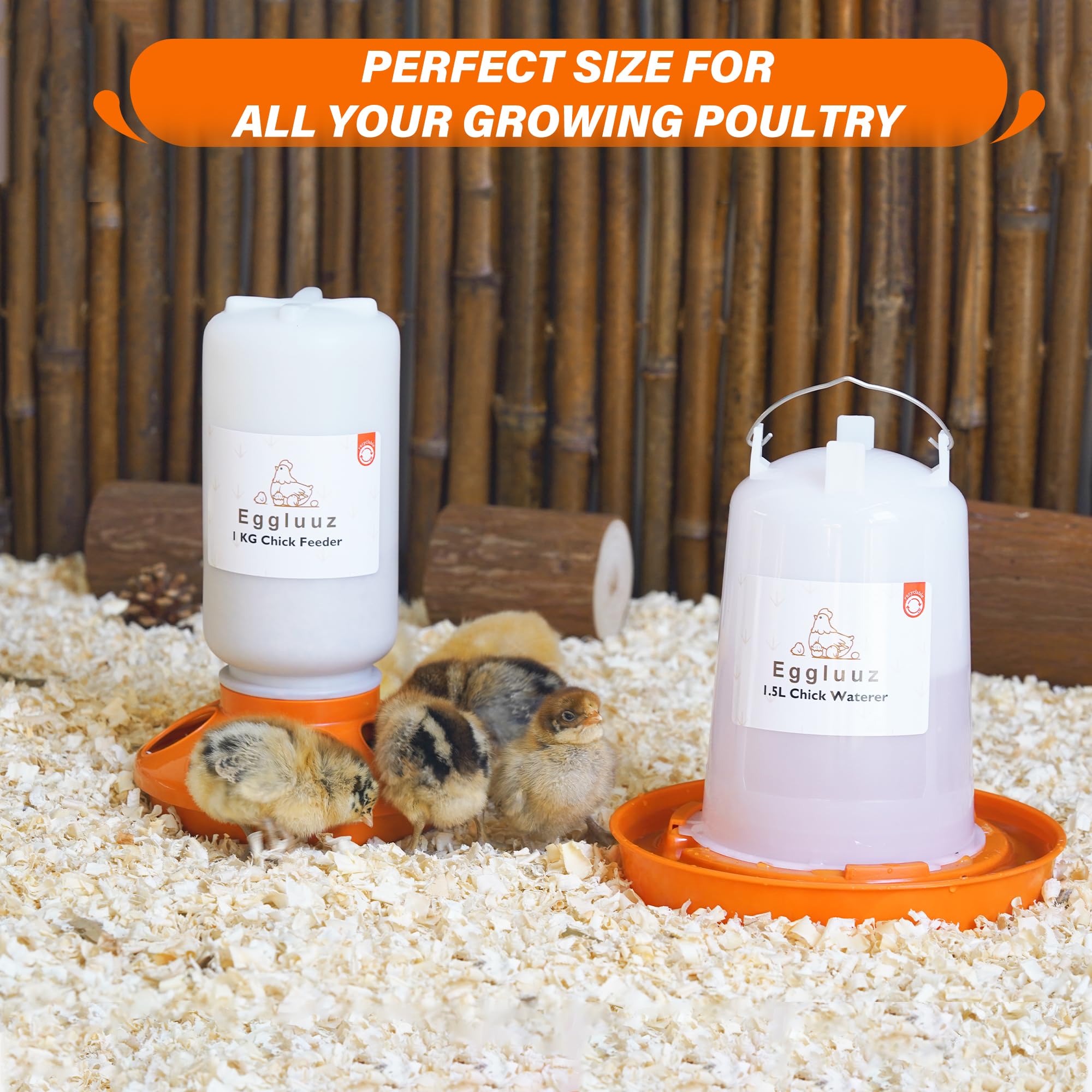 Eggluuz starter set supports chicks, ducks, and quails in the brooder.