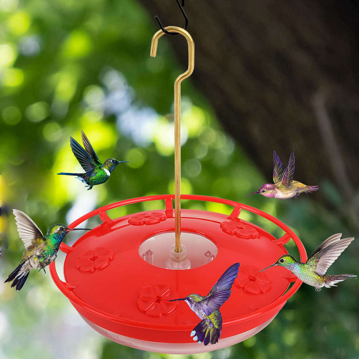 Eggs Sound hummingbird feeder with no-leak design and clear bowl