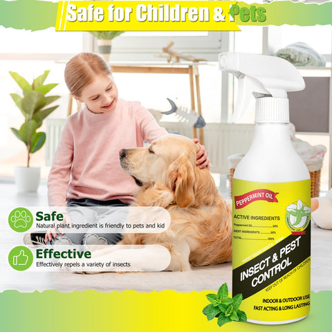 Eglagen indoor protection spray keeps living spaces pest-free.