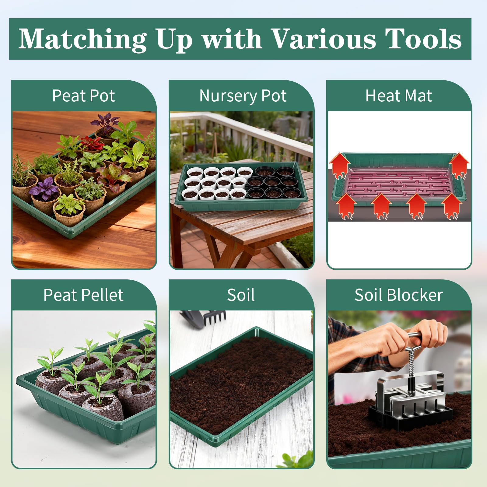 Eglotes 1017 no-holes design supports clean, controlled germination