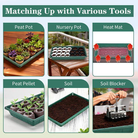 Eglotes 1017 no-holes design supports clean, controlled germination