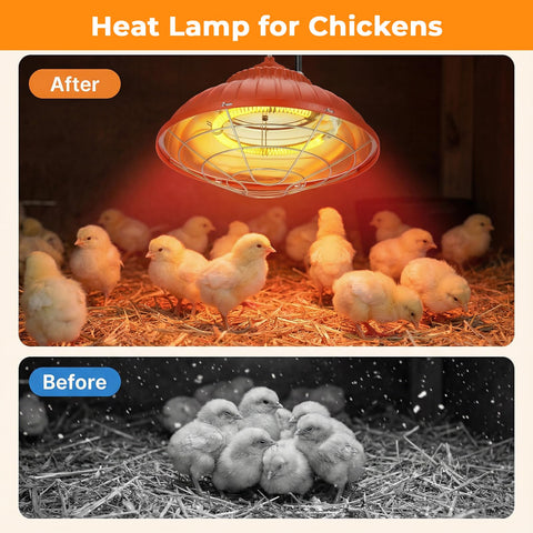 Eglotes heat lamp controls highlight waterproof adjustment in humid coops.