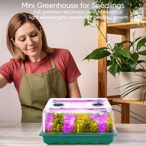 Eglotes seed starter tray with humidity dome helps create stable microclimates for tender seedlings.