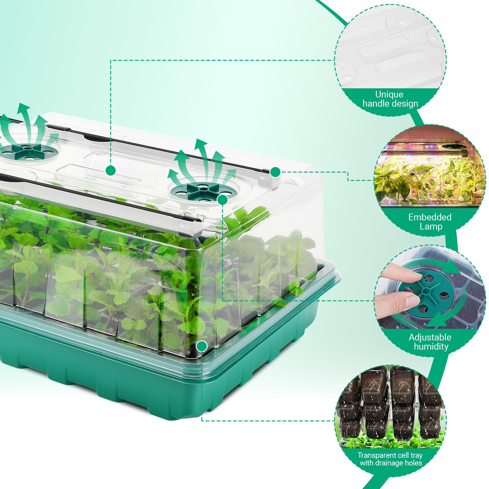 Eglotes seed start kit compatible with heat mats, pots, and soil.