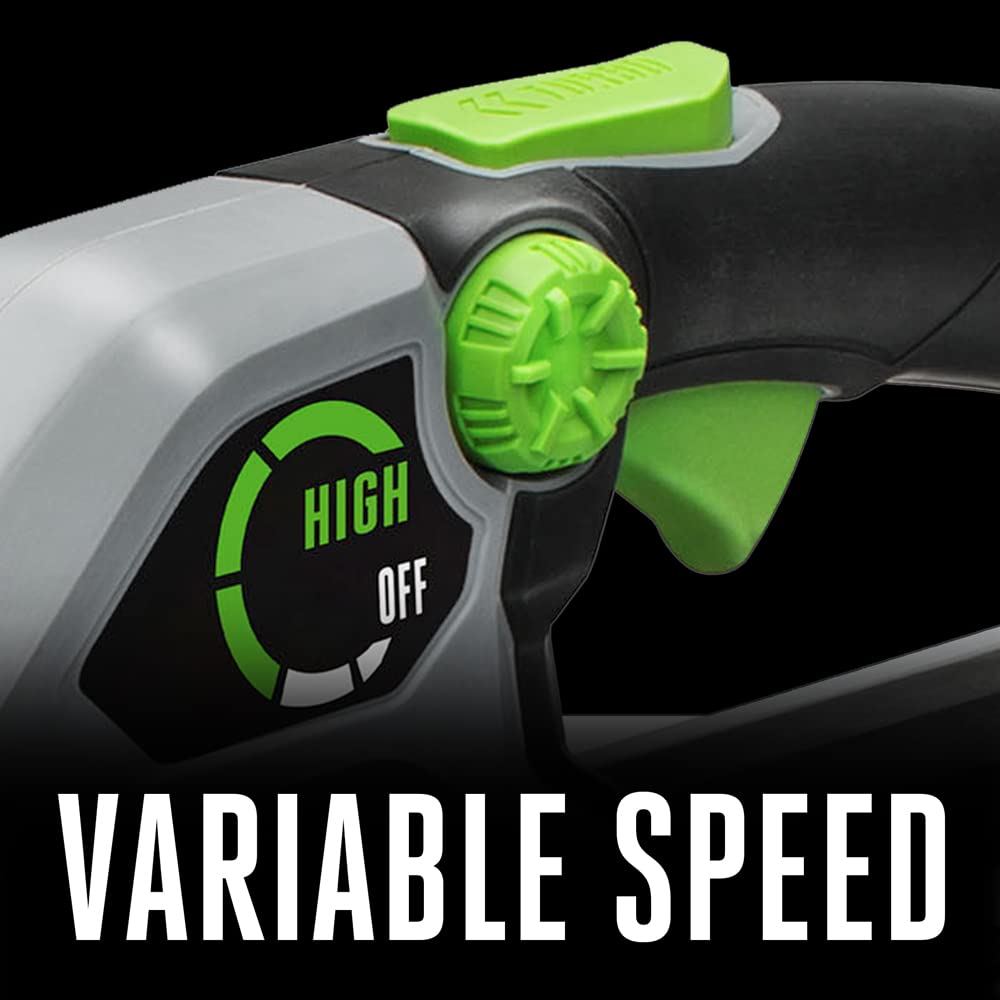 EGO POWER+ LB6500 flat and tapered nozzles included for versatility.