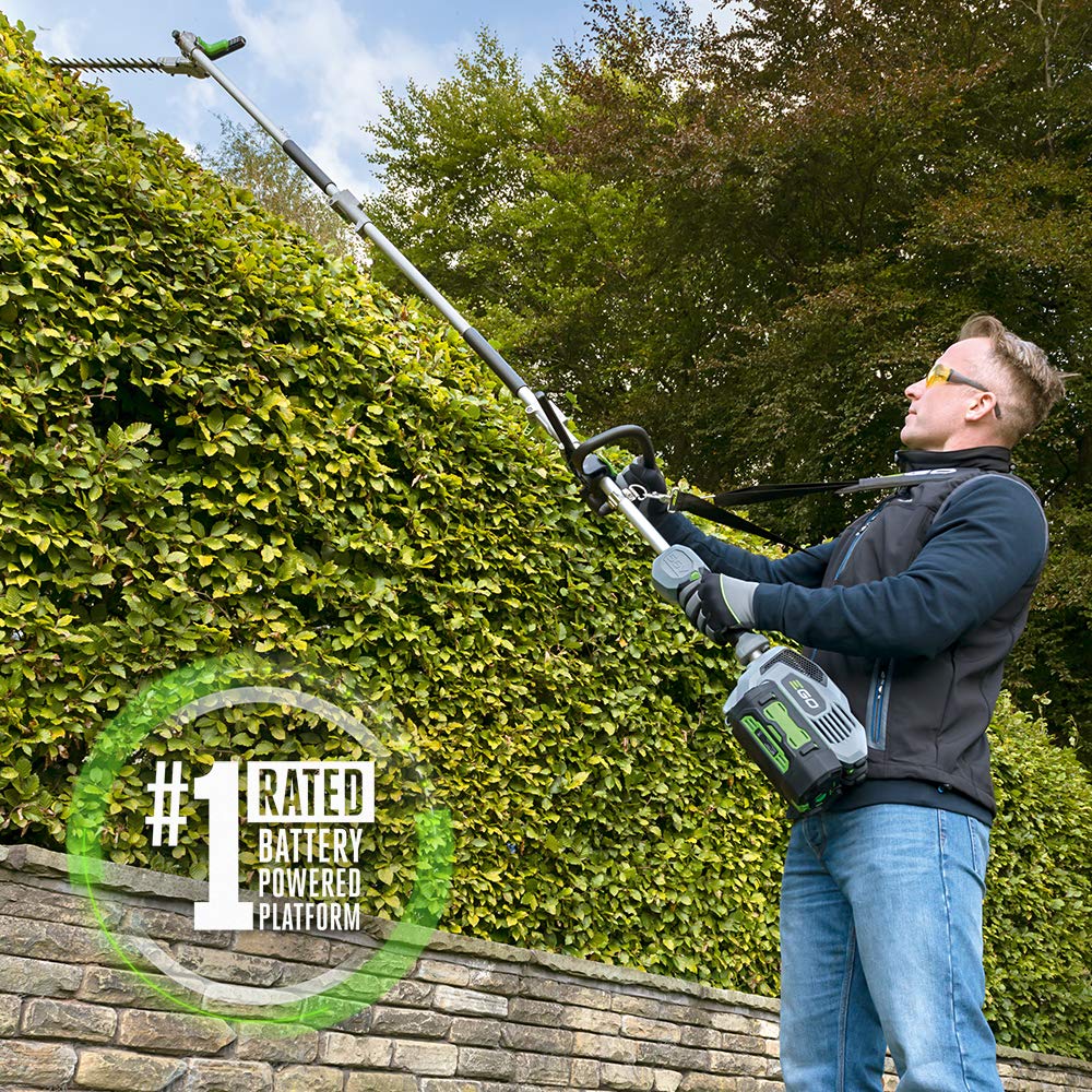 EGO Power+ PSA1000 pole saw attachment ready for extended pruning tasks.