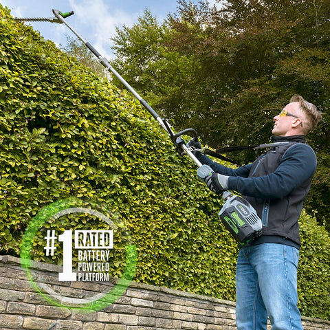 EGO Power+ PSA1000 pole saw attachment ready for extended pruning tasks.