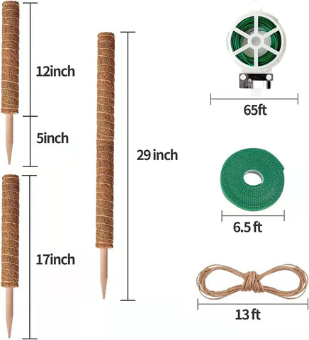 Eibikdi smooth coconut fiber poles gently support delicate aerial roots.