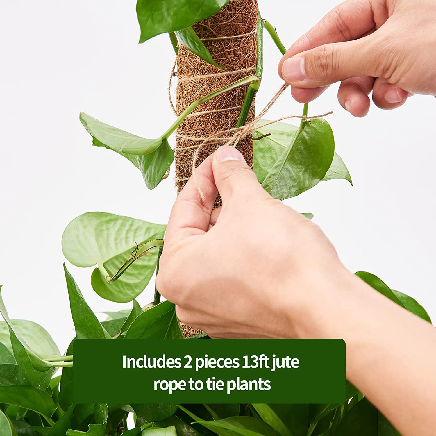 Eibikdi extendable design lets you stack poles as plants grow.