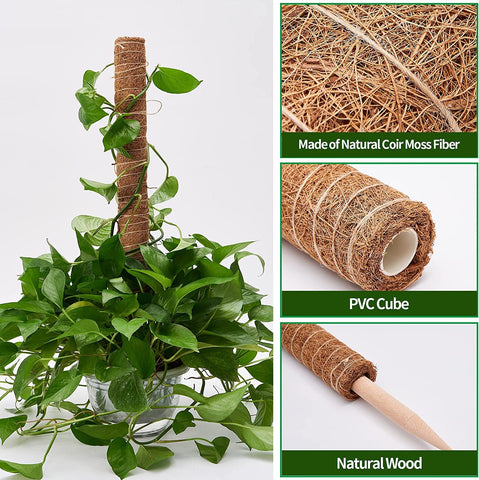Eibikdi jute rope 13ft durable binding for moss pole setup.