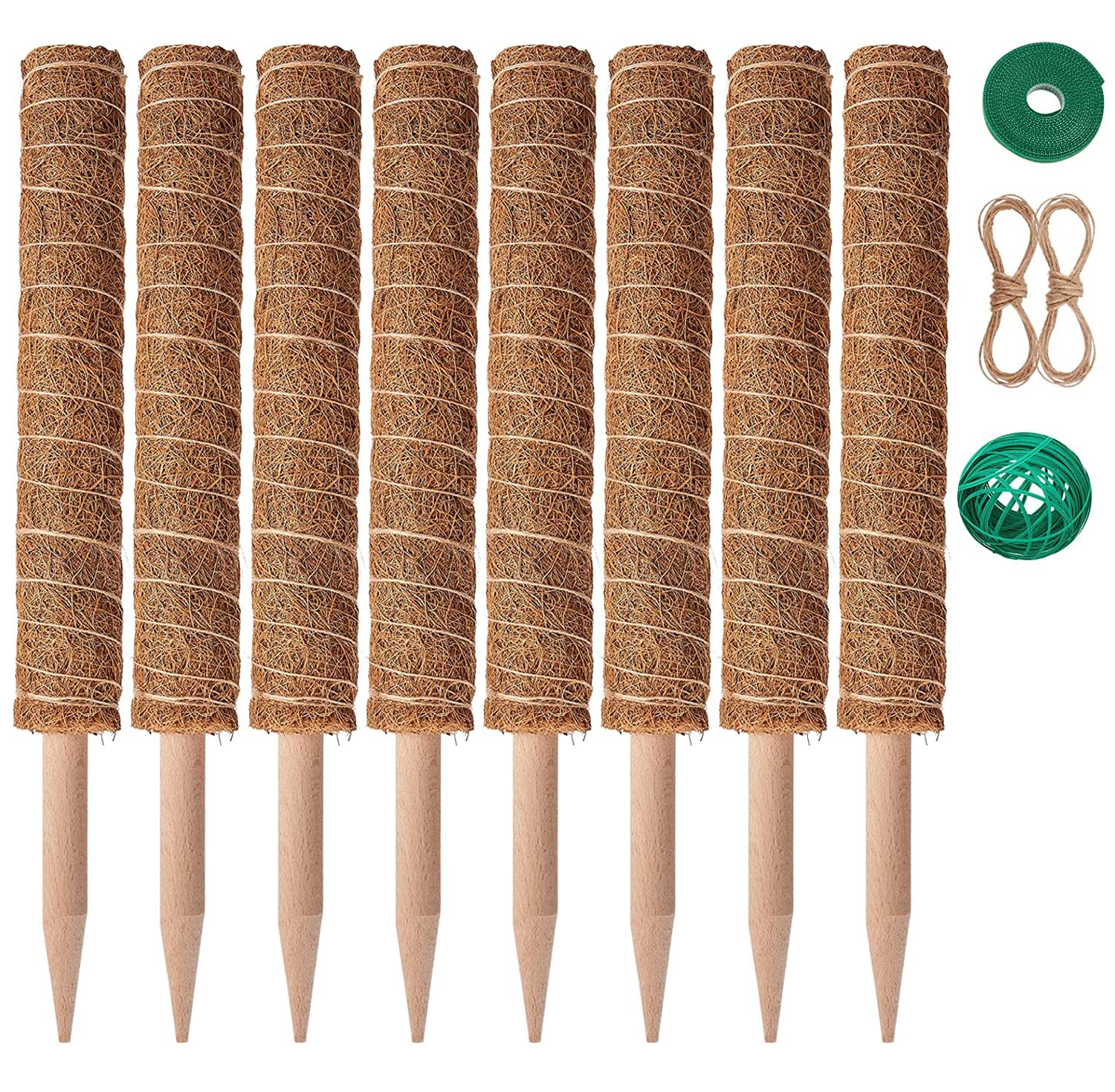 Eibikdi moss pole supports Monstera for upward growth and stable climber support.