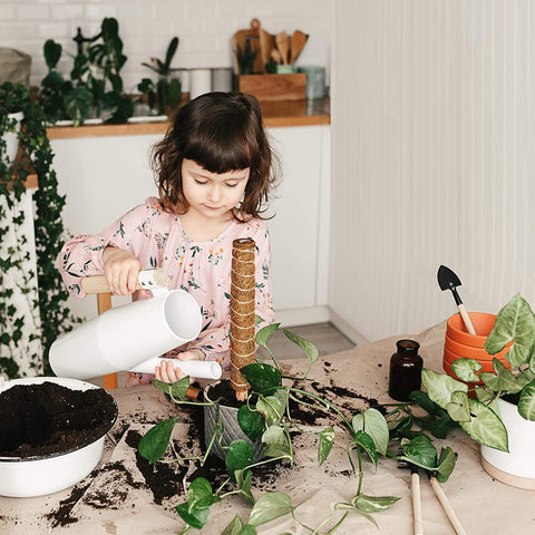 Eibikdi gift-ready box with 8 moss poles and accessories.