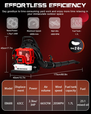 EIDOWA fuel-mixing bottle and manual included for quick setup.
