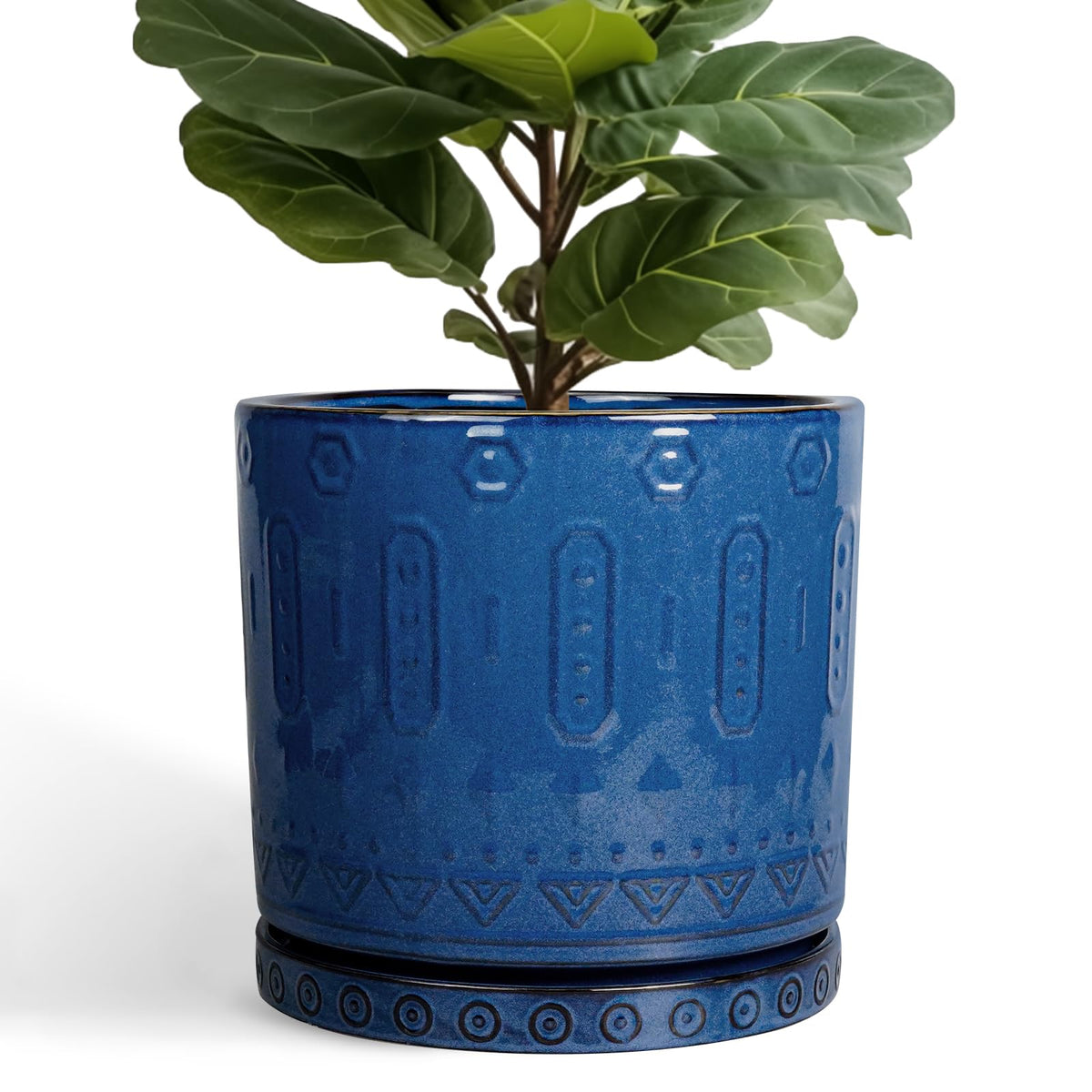 Eightpot blue 12-inch ceramic planter with saucer for indoor decor and healthy drainage.