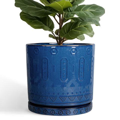 Eightpot blue 12-inch ceramic planter with saucer for indoor decor and healthy drainage.
