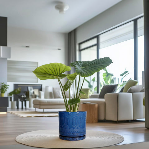 Eightpot plant pot blue glaze enhances home decor and plant presentation.