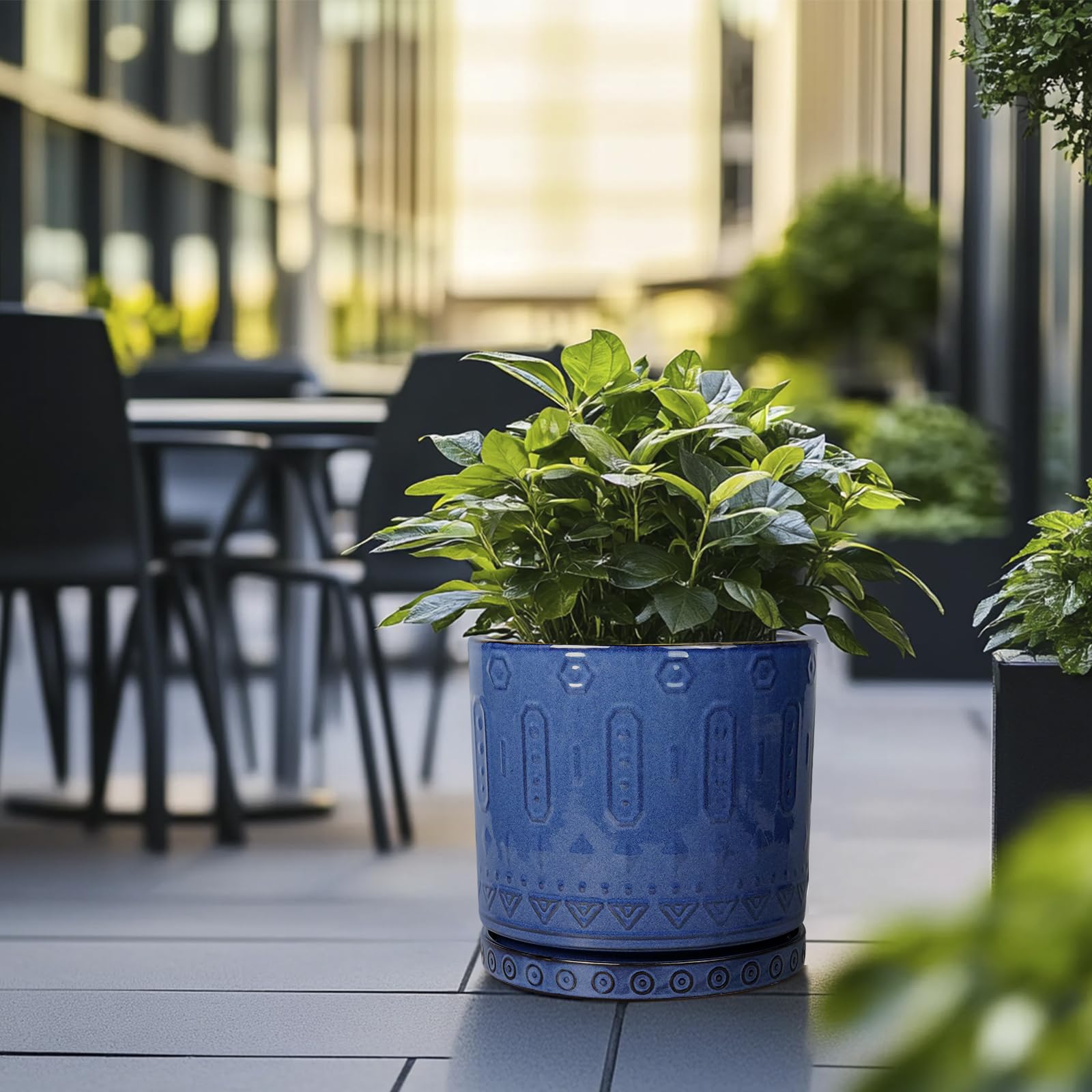 Eightpot 12-inch blue planter complements monstera and fiddle leaf fig beautifully.