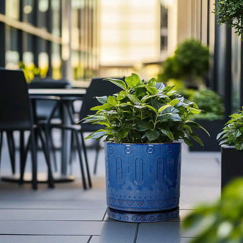 Eightpot 12-inch blue planter complements monstera and fiddle leaf fig beautifully.