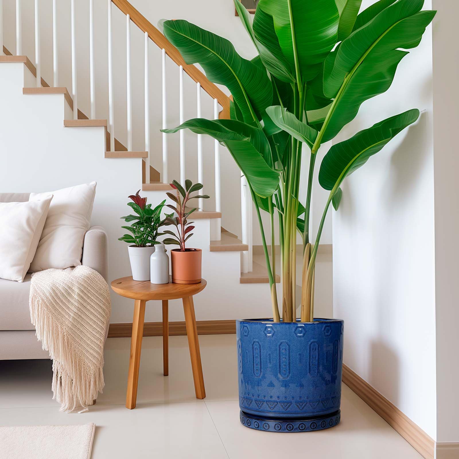 Eightpot ceramic planter with saucer provides stable setup on desks or shelves.