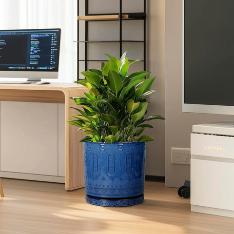 Eightpot blue ceramic planter with drainage holes boosts air circulation for plant health.