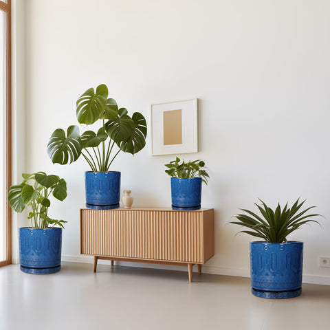 Eightpot decorative planter perfect for office desks and plant care routines.