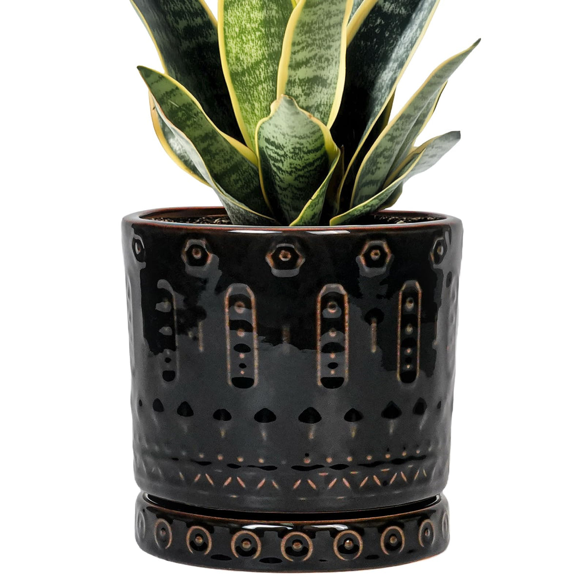 Eightpot ceramic plant pot with drainage hole for healthy watering.